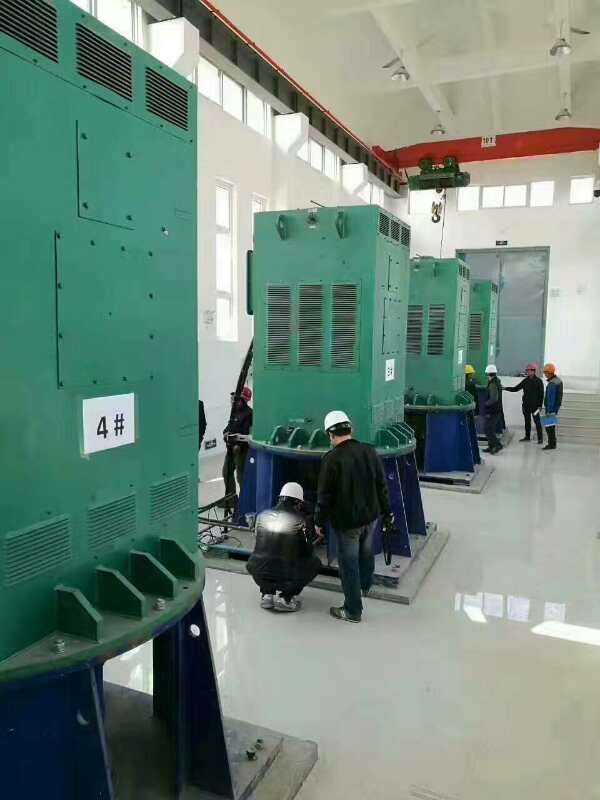 汤旺河某污水处理厂使用我厂的立式高压电机安装现场